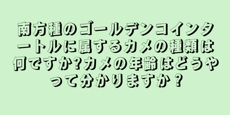 南方種のゴールデンコインタートルに属するカメの種類は何ですか?カメの年齢はどうやって分かりますか？