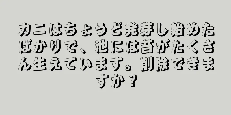 カニはちょうど発芽し始めたばかりで、池には苔がたくさん生えています。削除できますか？