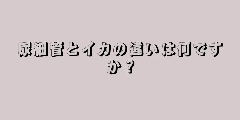 尿細管とイカの違いは何ですか？