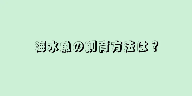 海水魚の飼育方法は？