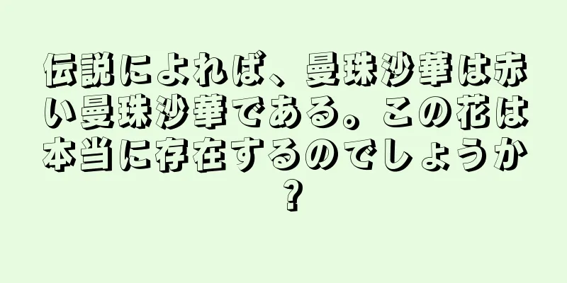伝説によれば、曼珠沙華は赤い曼珠沙華である。この花は本当に存在するのでしょうか？