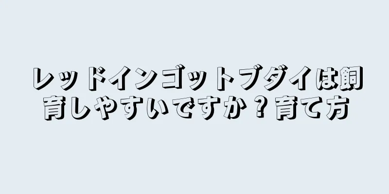 レッドインゴットブダイは飼育しやすいですか？育て方