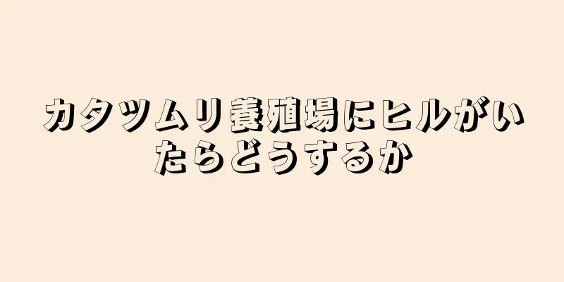 カタツムリ養殖場にヒルがいたらどうするか