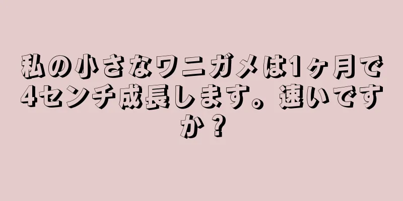 私の小さなワニガメは1ヶ月で4センチ成長します。速いですか？