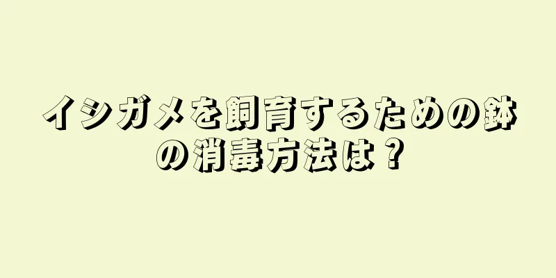 イシガメを飼育するための鉢の消毒方法は？