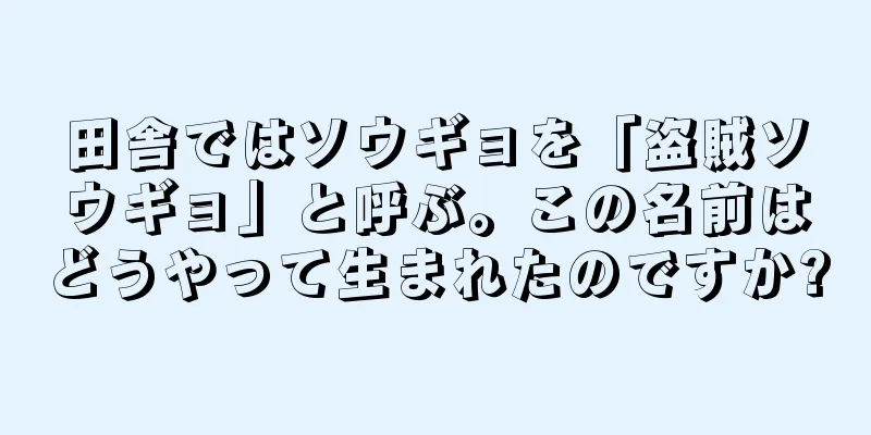 田舎ではソウギョを「盗賊ソウギョ」と呼ぶ。この名前はどうやって生まれたのですか?
