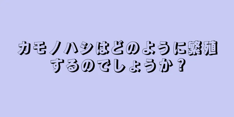 カモノハシはどのように繁殖するのでしょうか？