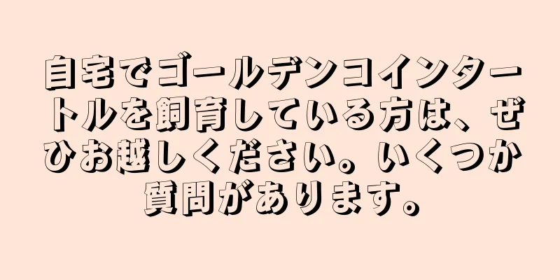 自宅でゴールデンコインタートルを飼育している方は、ぜひお越しください。いくつか質問があります。