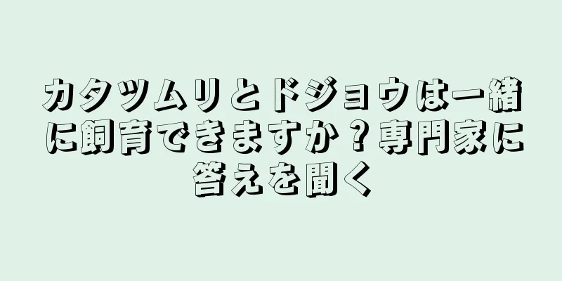 カタツムリとドジョウは一緒に飼育できますか？専門家に答えを聞く