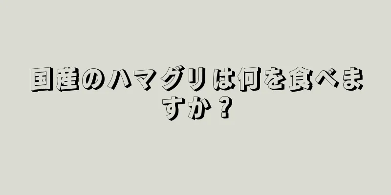 国産のハマグリは何を食べますか？