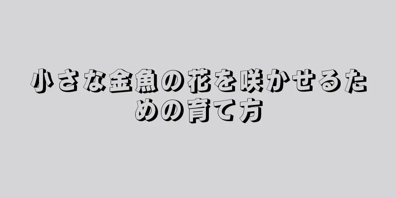 小さな金魚の花を咲かせるための育て方