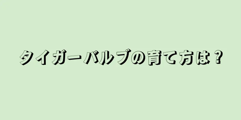 タイガーバルブの育て方は？