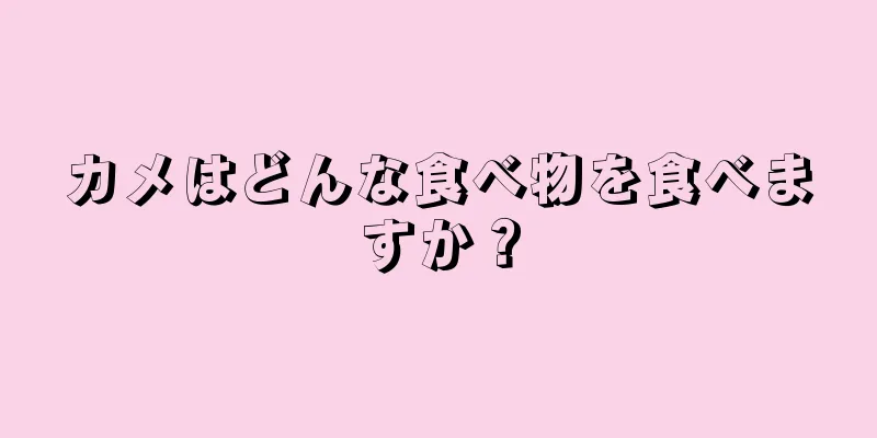 カメはどんな食べ物を食べますか？