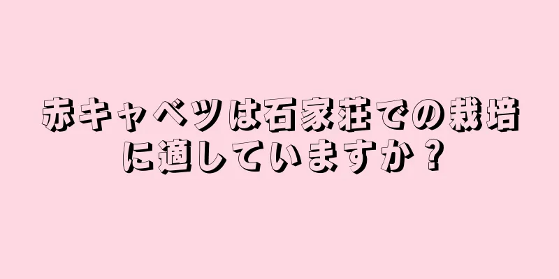 赤キャベツは石家荘での栽培に適していますか？