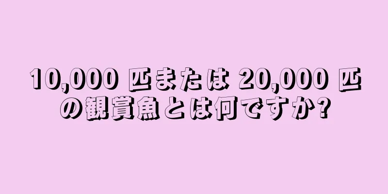 10,000 匹または 20,000 匹の観賞魚とは何ですか?
