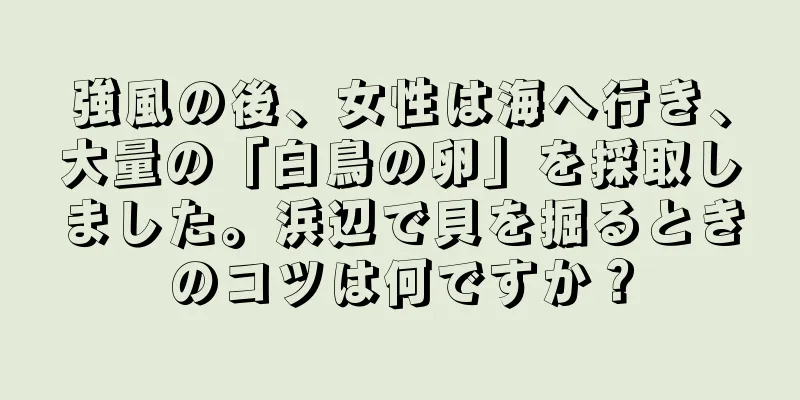 強風の後、女性は海へ行き、大量の「白鳥の卵」を採取しました。浜辺で貝を掘るときのコツは何ですか？