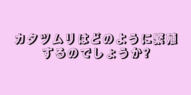 カタツムリはどのように繁殖するのでしょうか?