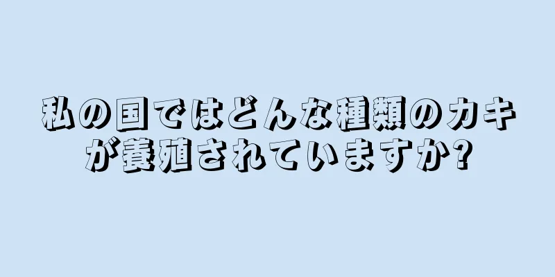 私の国ではどんな種類のカキが養殖されていますか?