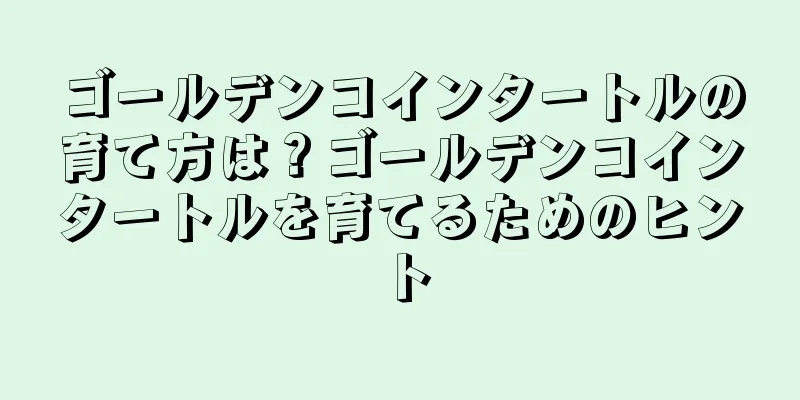 ゴールデンコインタートルの育て方は？ゴールデンコインタートルを育てるためのヒント