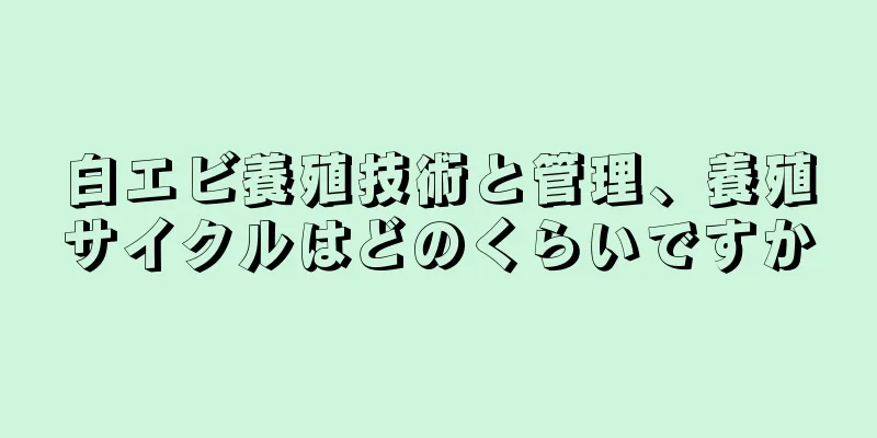 白エビ養殖技術と管理、養殖サイクルはどのくらいですか