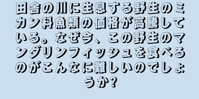 田舎の川に生息する野生のミカン科魚類の価格が高騰している。なぜ今、この野生のマンダリンフィッシュを食べるのがこんなに難しいのでしょうか?