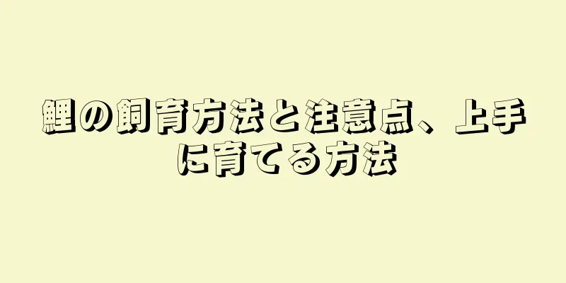 鯉の飼育方法と注意点、上手に育てる方法
