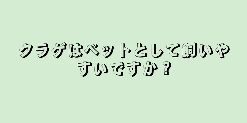 クラゲはペットとして飼いやすいですか？