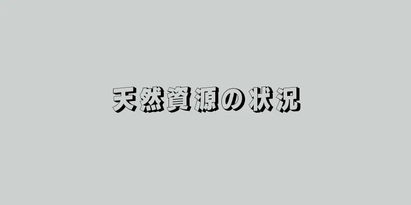 天然資源の状況