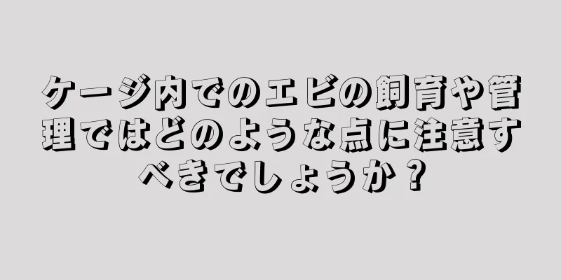 ケージ内でのエビの飼育や管理ではどのような点に注意すべきでしょうか？