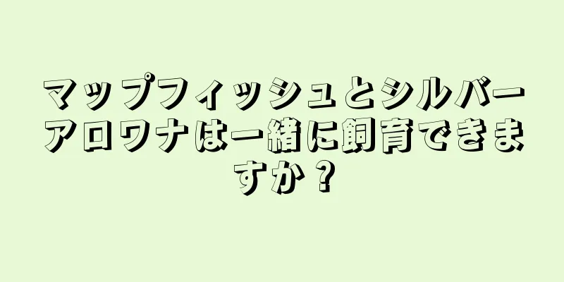 マップフィッシュとシルバーアロワナは一緒に飼育できますか？