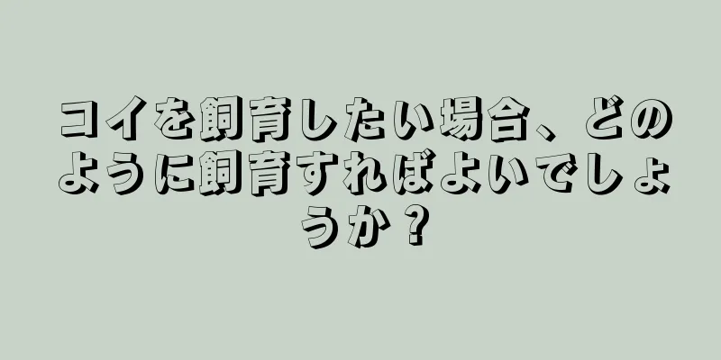 コイを飼育したい場合、どのように飼育すればよいでしょうか？