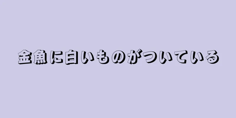 金魚に白いものがついている