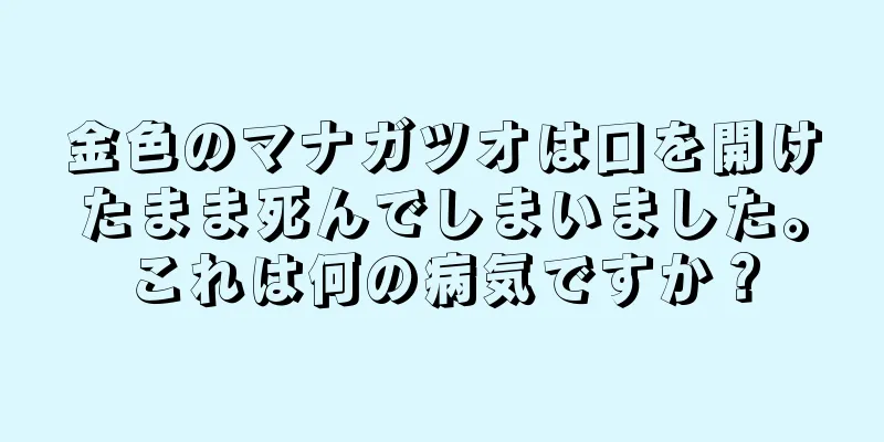 金色のマナガツオは口を開けたまま死んでしまいました。これは何の病気ですか？