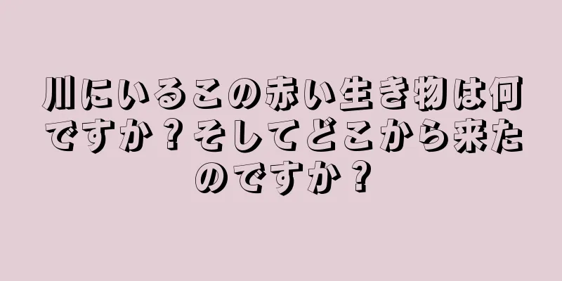 川にいるこの赤い生き物は何ですか？そしてどこから来たのですか？