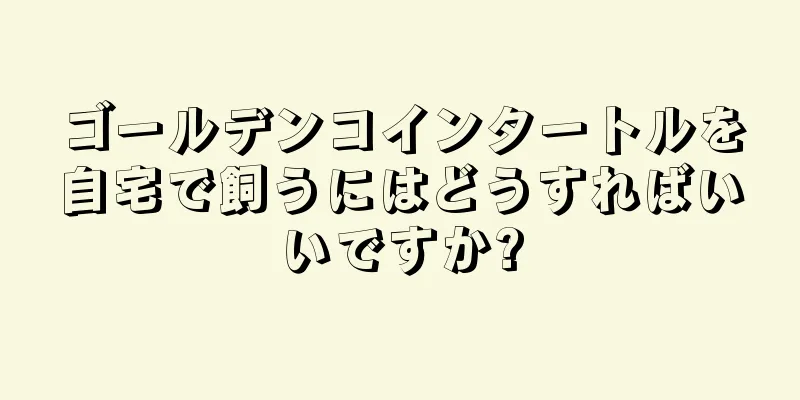 ゴールデンコインタートルを自宅で飼うにはどうすればいいですか?