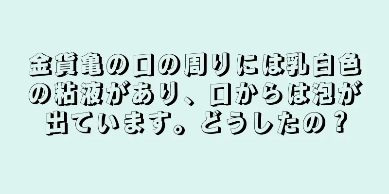 金貨亀の口の周りには乳白色の粘液があり、口からは泡が出ています。どうしたの？
