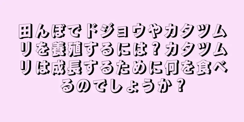 田んぼでドジョウやカタツムリを養殖するには？カタツムリは成長するために何を食べるのでしょうか？