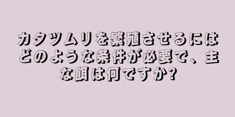 カタツムリを繁殖させるにはどのような条件が必要で、主な餌は何ですか?