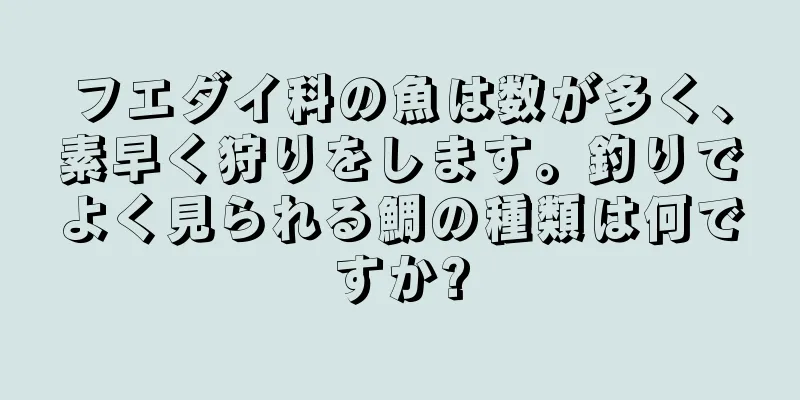 フエダイ科の魚は数が多く、素早く狩りをします。釣りでよく見られる鯛の種類は何ですか?