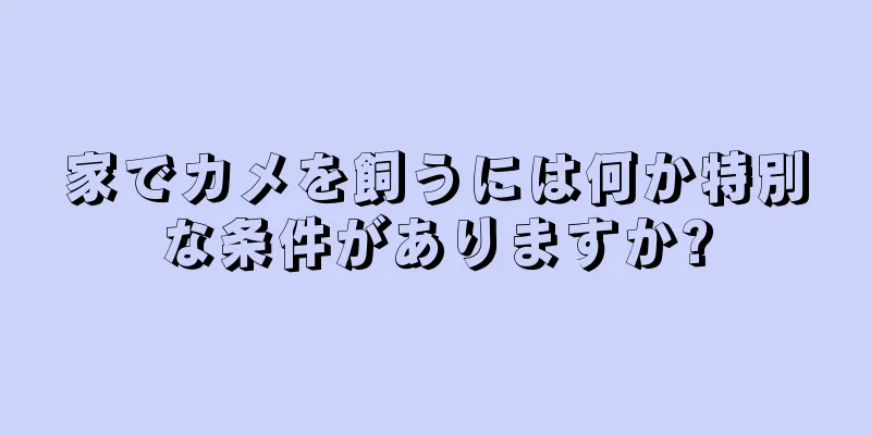 家でカメを飼うには何か特別な条件がありますか?