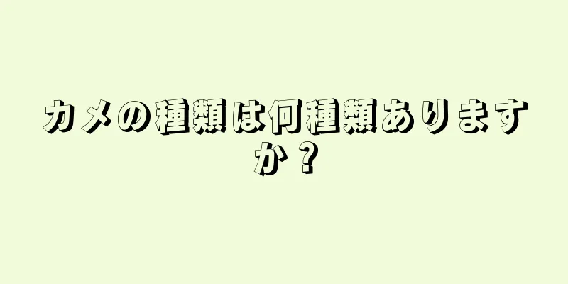 カメの種類は何種類ありますか？