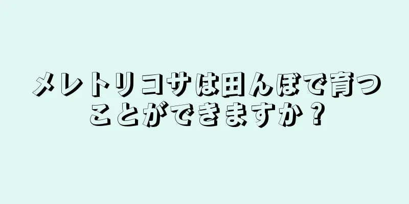 メレトリコサは田んぼで育つことができますか？