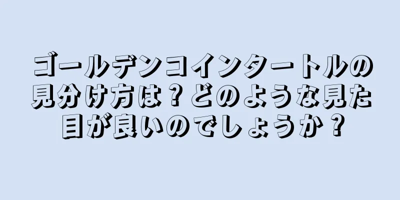 ゴールデンコインタートルの見分け方は？どのような見た目が良いのでしょうか？