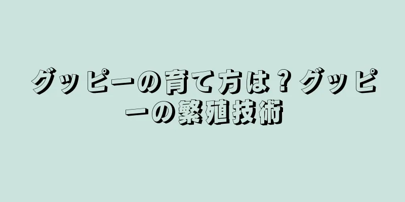 グッピーの育て方は？グッピーの繁殖技術