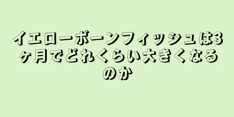 イエローボーンフィッシュは3ヶ月でどれくらい大きくなるのか