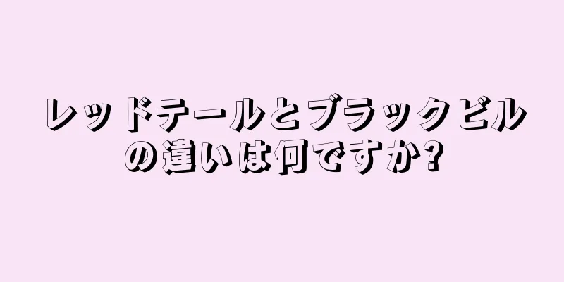 レッドテールとブラックビルの違いは何ですか?