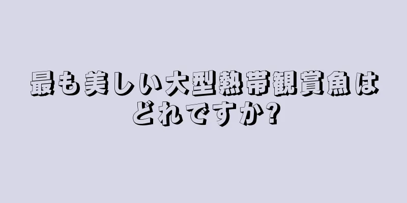 最も美しい大型熱帯観賞魚はどれですか?