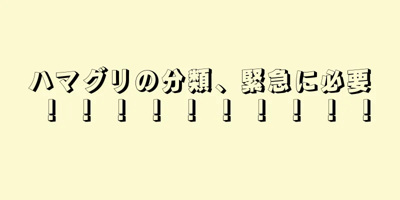ハマグリの分類、緊急に必要！ ！ ！ ！ ！ ！ ！ ！ ！ ！