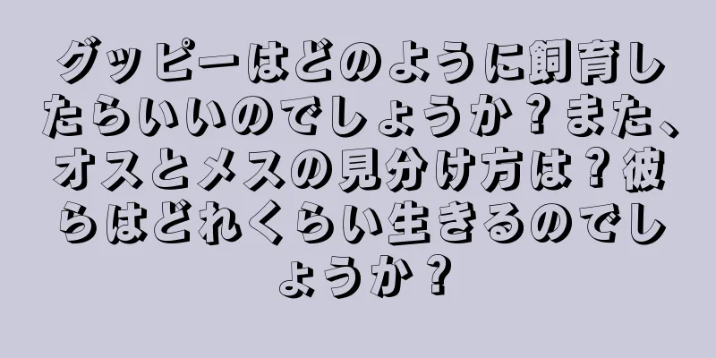 グッピーはどのように飼育したらいいのでしょうか？また、オスとメスの見分け方は？彼らはどれくらい生きるのでしょうか？