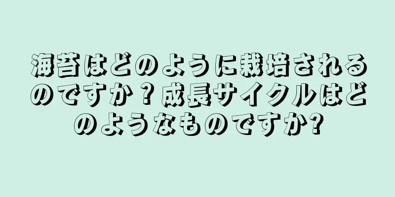 海苔はどのように栽培されるのですか？成長サイクルはどのようなものですか?